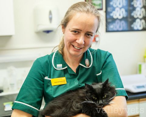 This week we caught up with Claire.... | Valley Vets