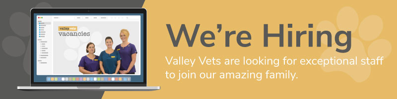 Job Vacancy at Valley Vets - We are looking for exceptional staff to join our amazing family